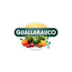 guallarauco-200x200